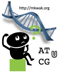 randomized DNA??